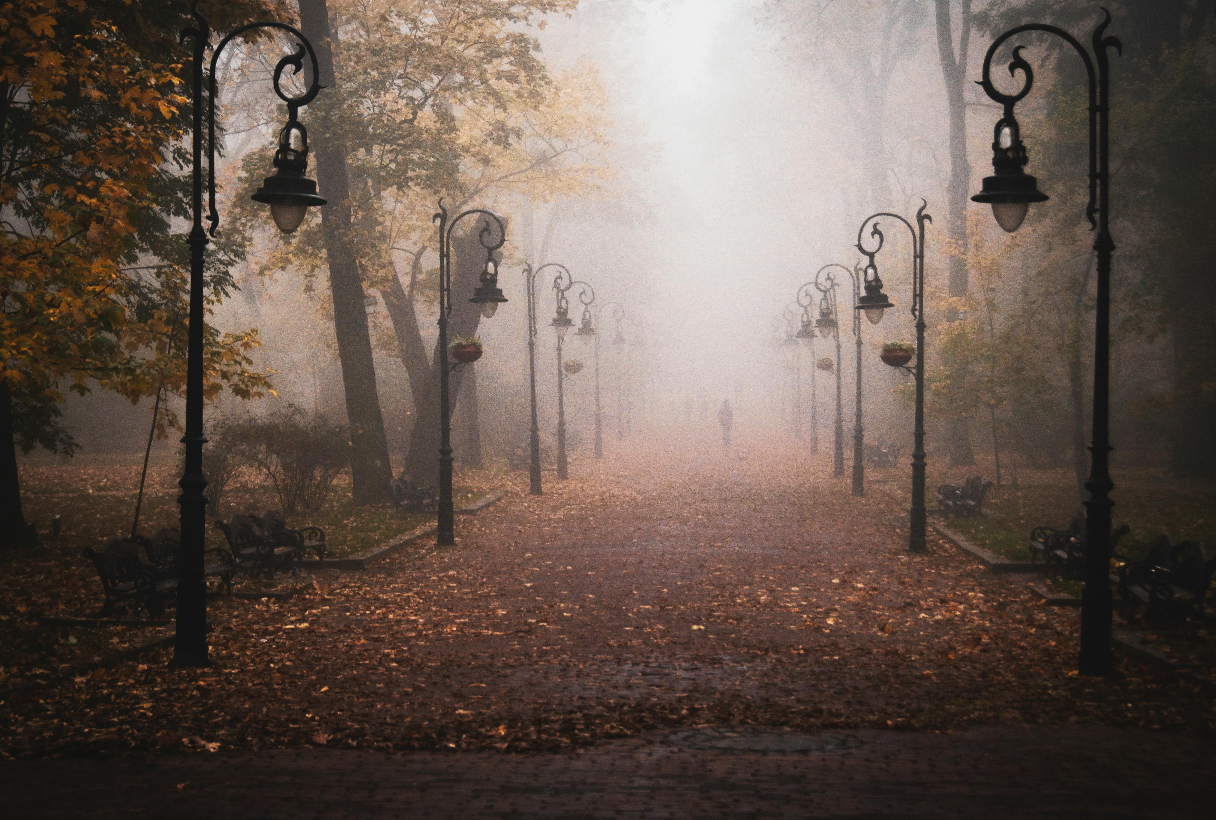 Spooky Road